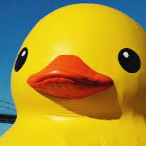 Meet your Posher, Audrey